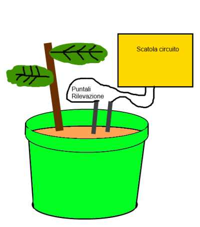 acqua_pianta.jpg